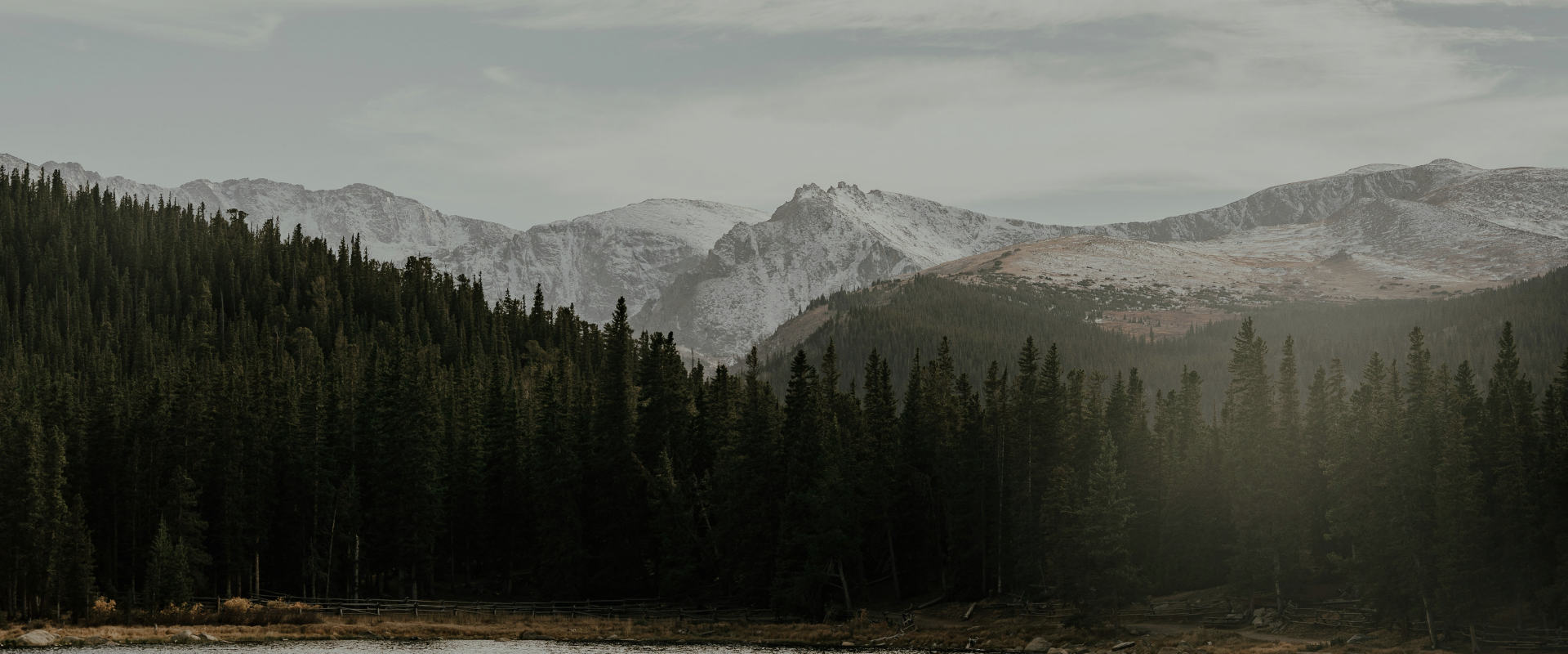 Local Ledgers Slider Background image